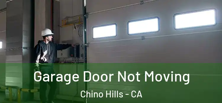  Garage Door Not Moving Chino Hills - CA