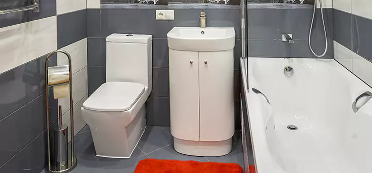 Hansgrohe Shaving Mirror Chino Hills