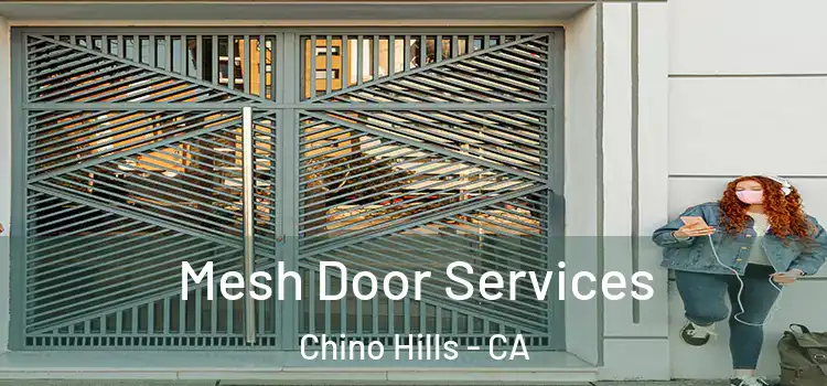  Mesh Door Services Chino Hills - CA